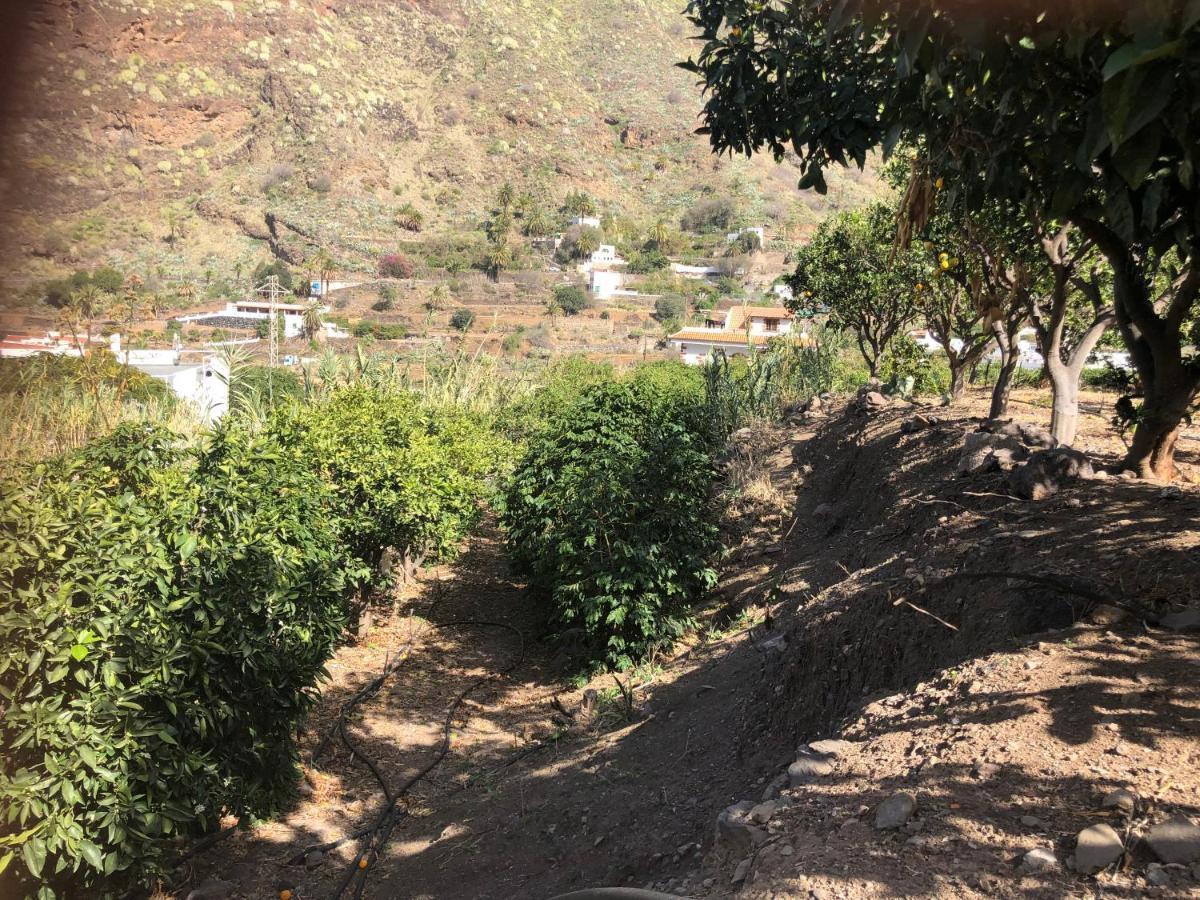 阿格特Casa Camino Tamadaba II 公寓 外观 照片