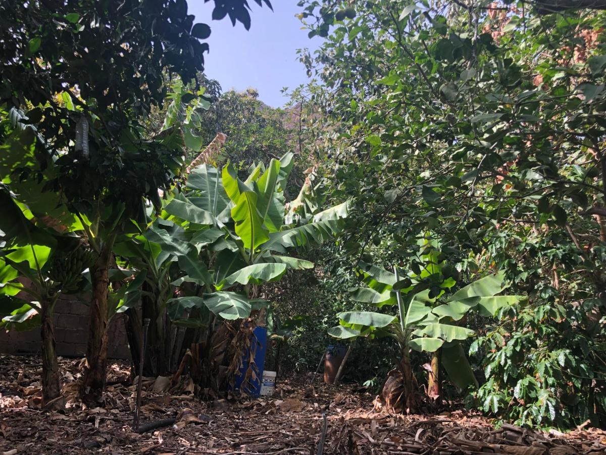 阿格特Casa Camino Tamadaba II 公寓 外观 照片