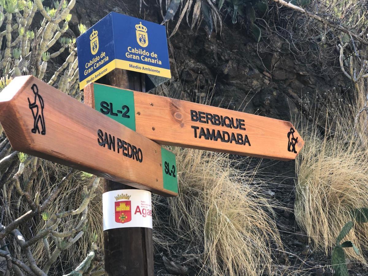 阿格特Casa Camino Tamadaba II 公寓 外观 照片